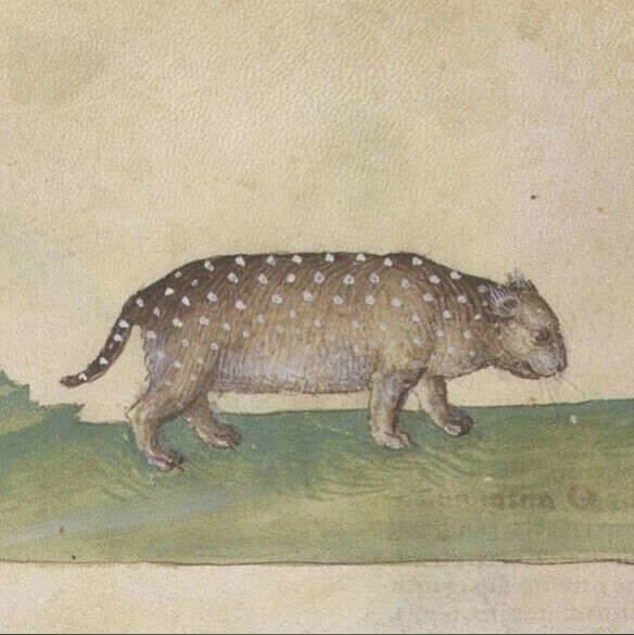 20. Средневековый Гарфилд в поисках лазаньи, Италия, XIV век