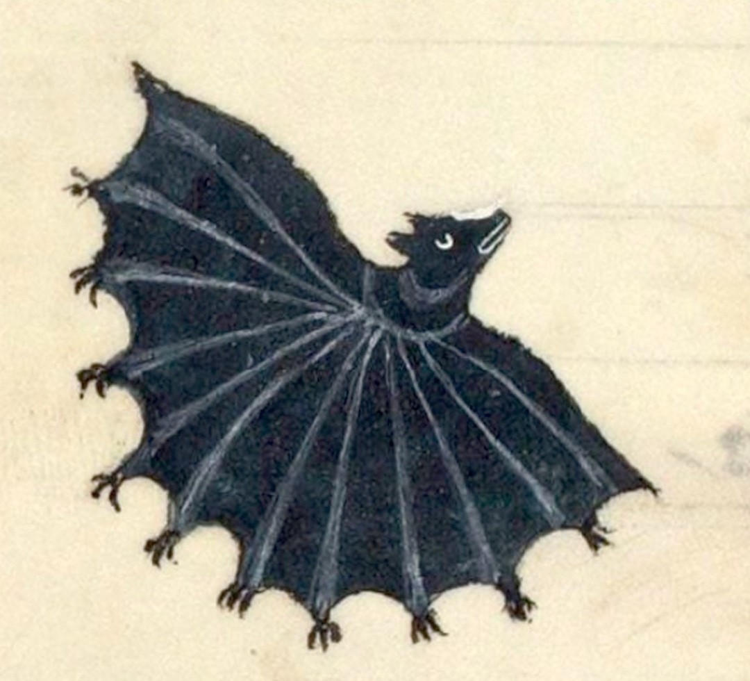 11. Летучая мышь, Франция, XIV век