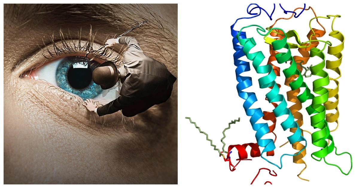 Оптография: последний взгляд перед смертью