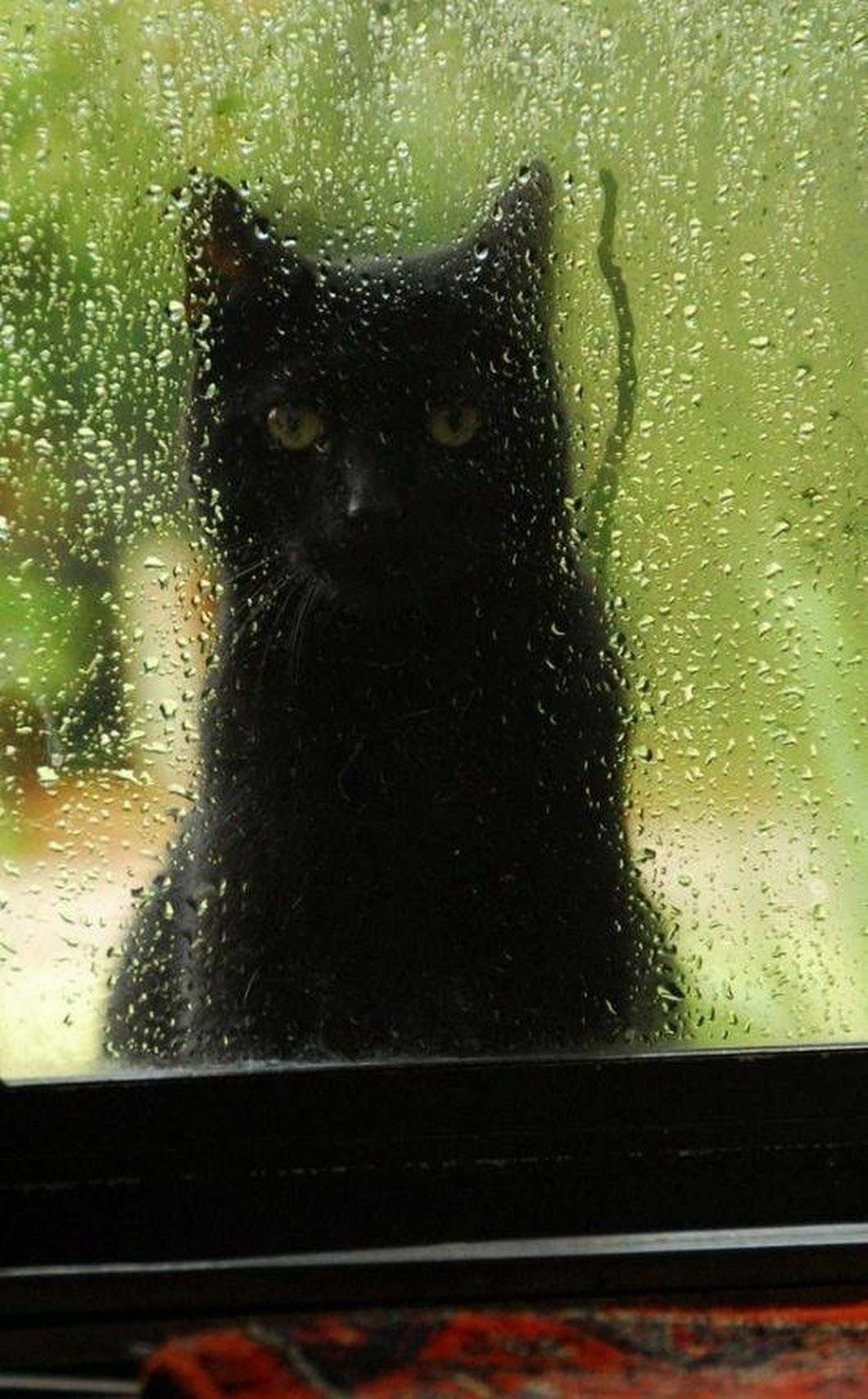 10. Повелитель погоды