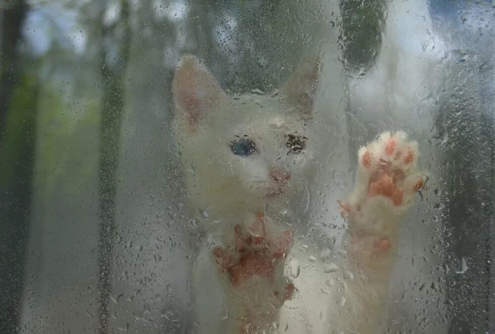 14. Хочу туда