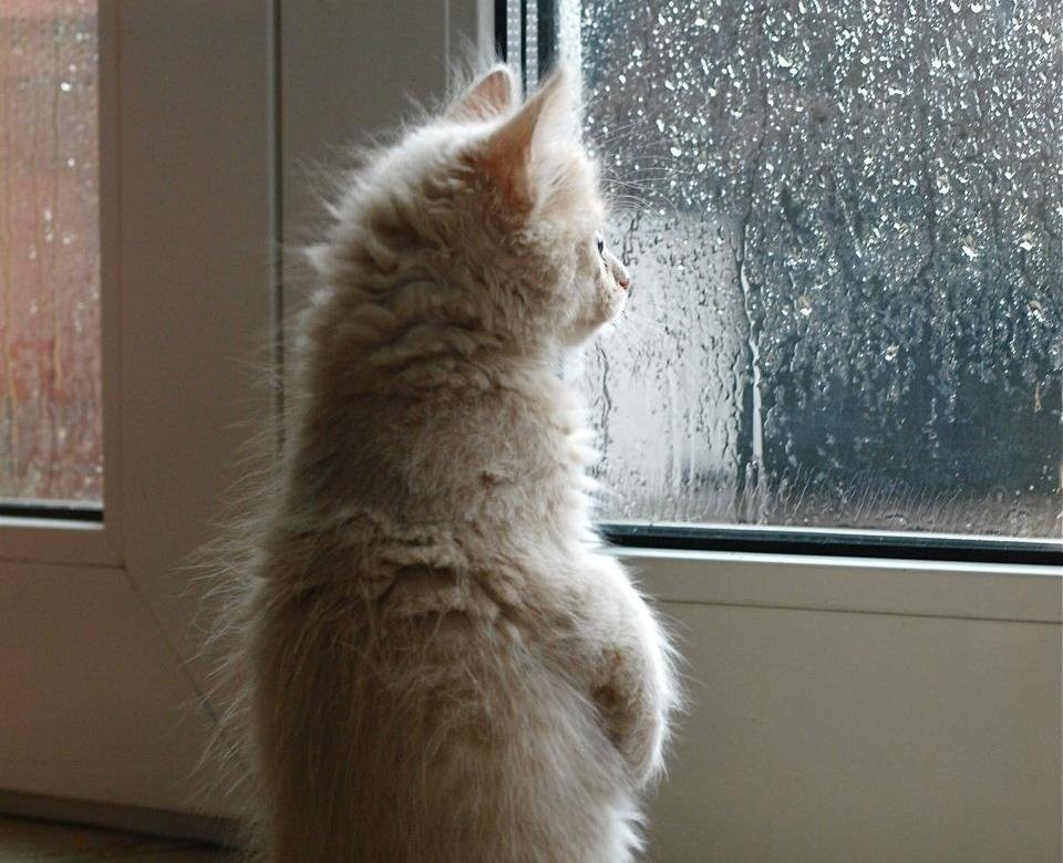 7. Что это за странные капли?