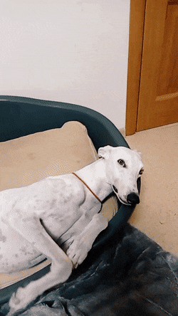 Просто гифки, всякие и&nbsp;разные