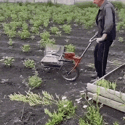 Просто гифки, всякие и&nbsp;разные