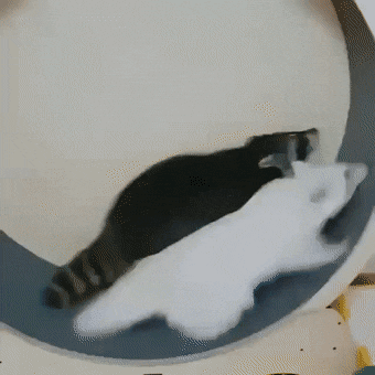 Просто гифки, всякие и&nbsp;разные