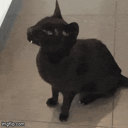 Знатные клыки