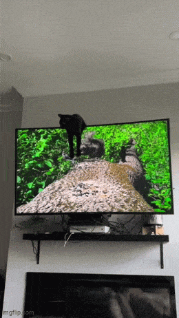 Заценил новый телик