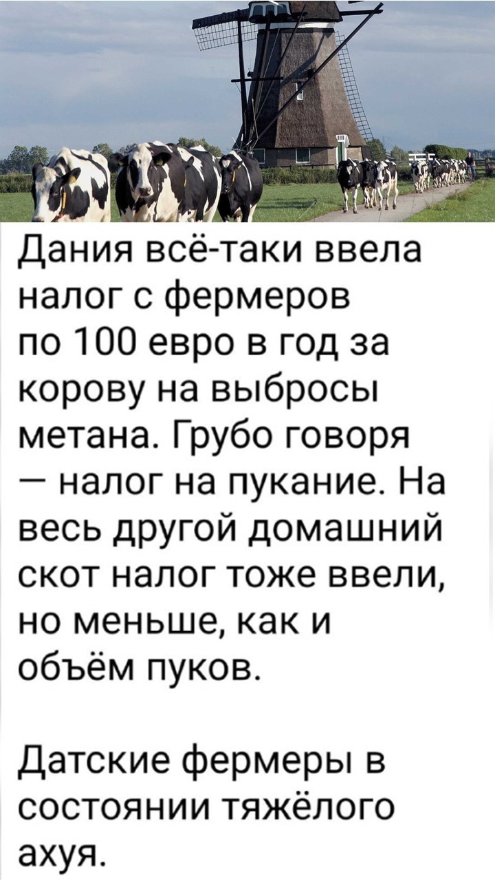 Политический мониторинг (473)