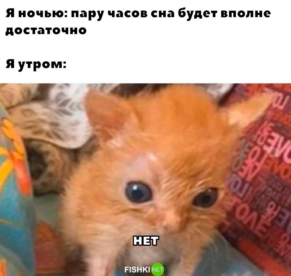 Скрины из соцсетей            