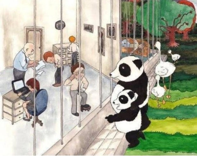 Картинки со смыслом 