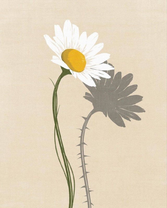 Картинки со смыслом 