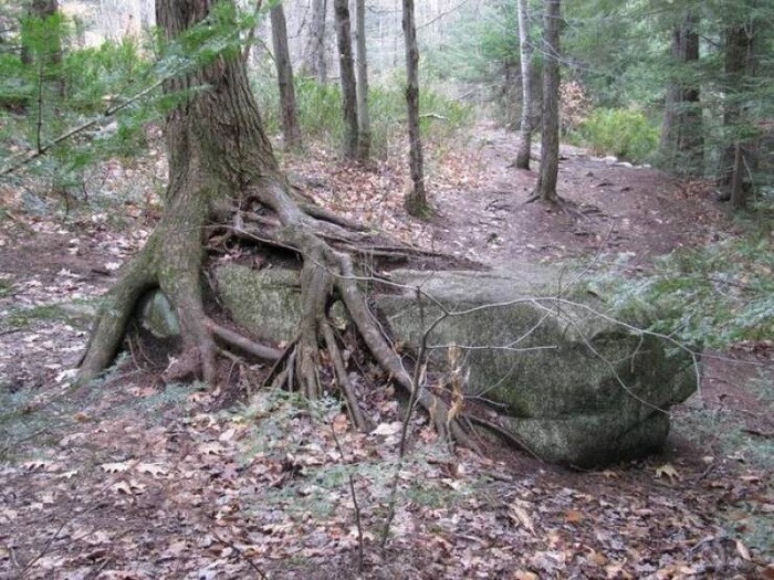  Намешалось 