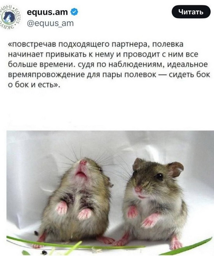 Не ищите здесь смысл. Здесь в основном маразм