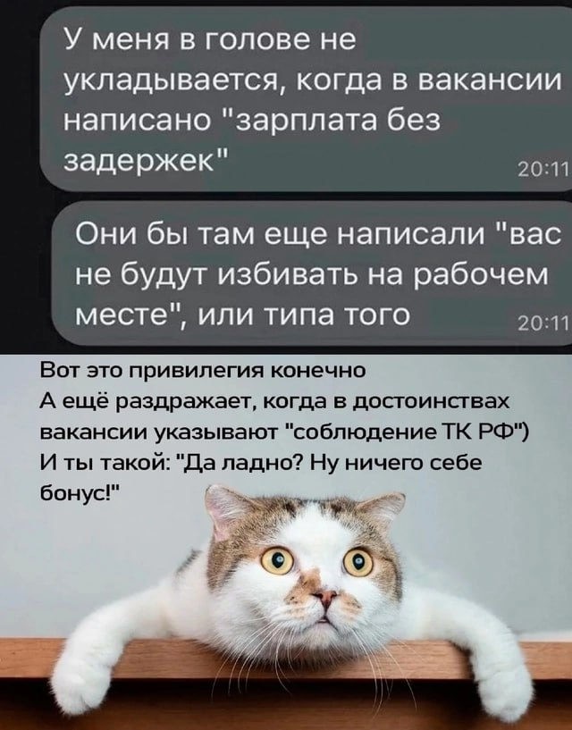 Не ищите здесь смысл. Здесь в основном маразм