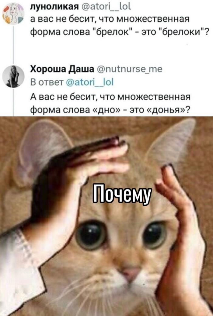 Не ищите здесь смысл. Здесь в основном маразм