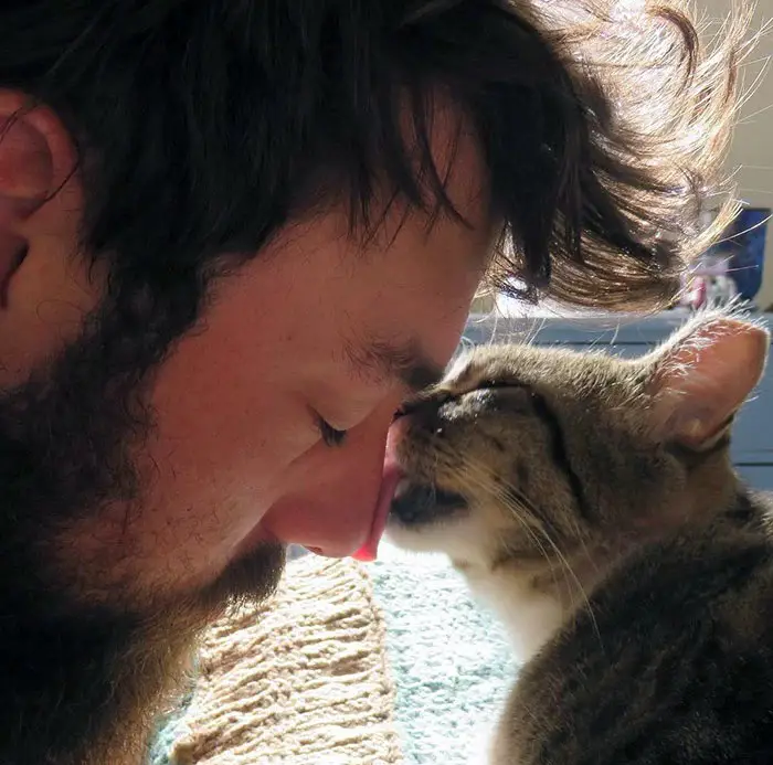 14. Моменты нежности