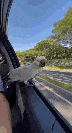 Просто гифки, всякие и&nbsp;разные