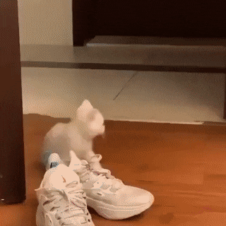 Просто гифки, всякие и&nbsp;разные