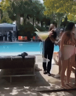 Просто гифки, всякие и&nbsp;разные