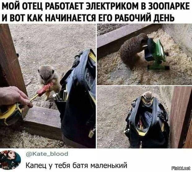 Нет смешно было. Нет смешно было