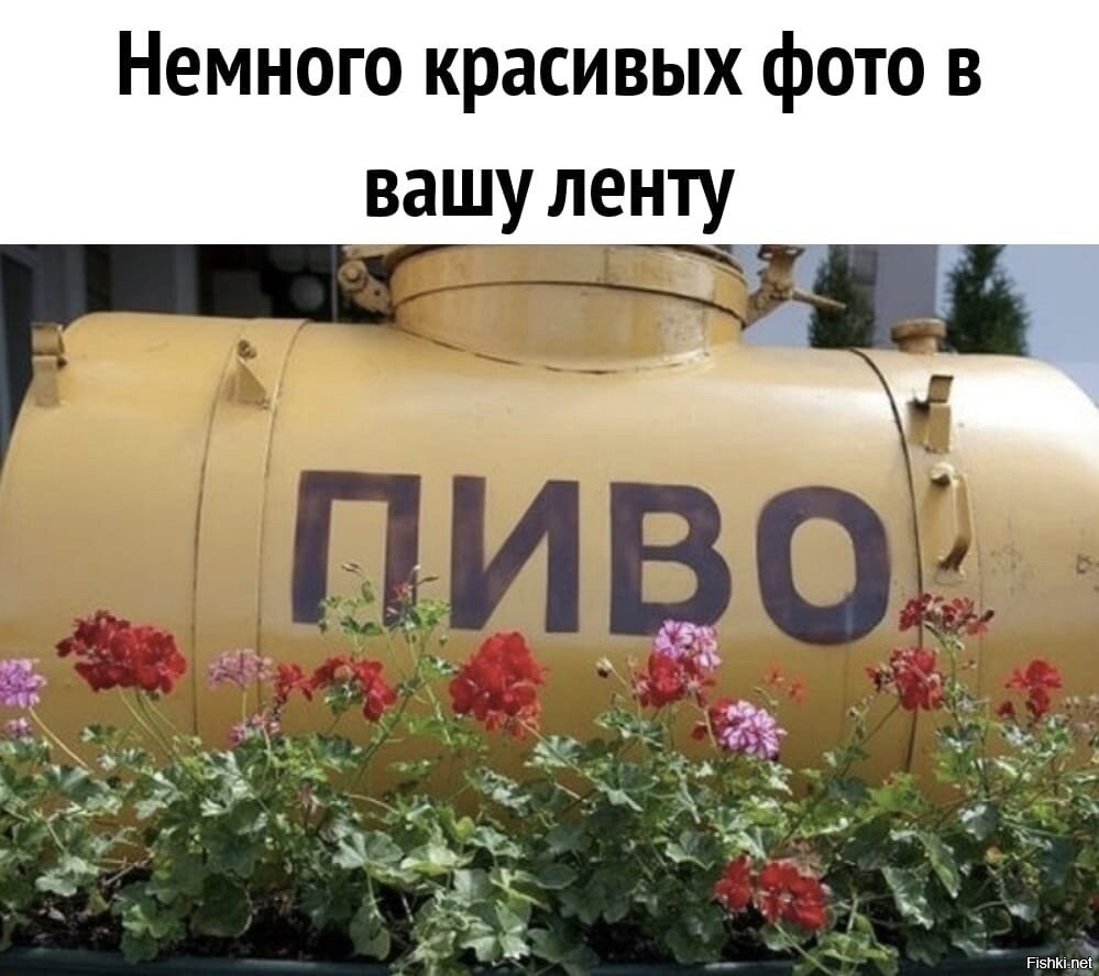 Фишкина солянка