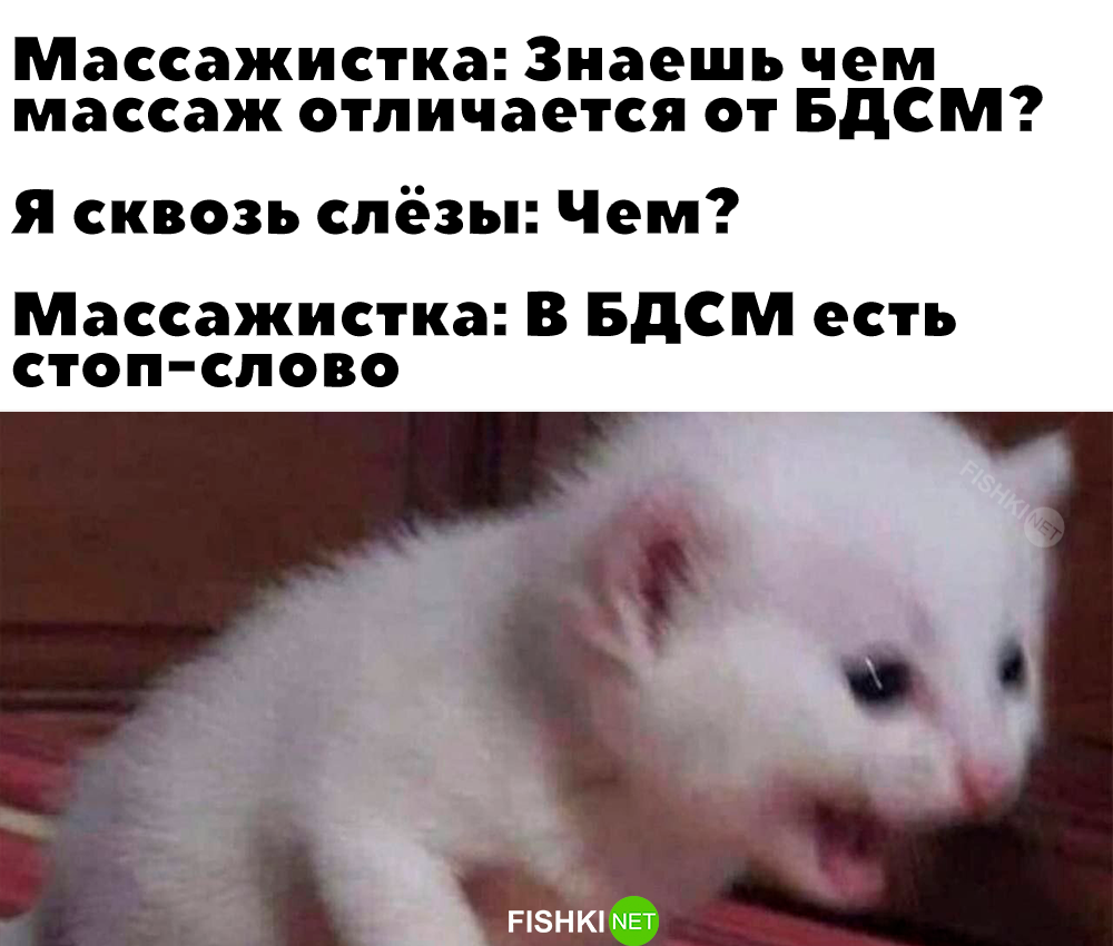 Смешные картинки от АНАТОЛИЙ за 11 ноября 2024