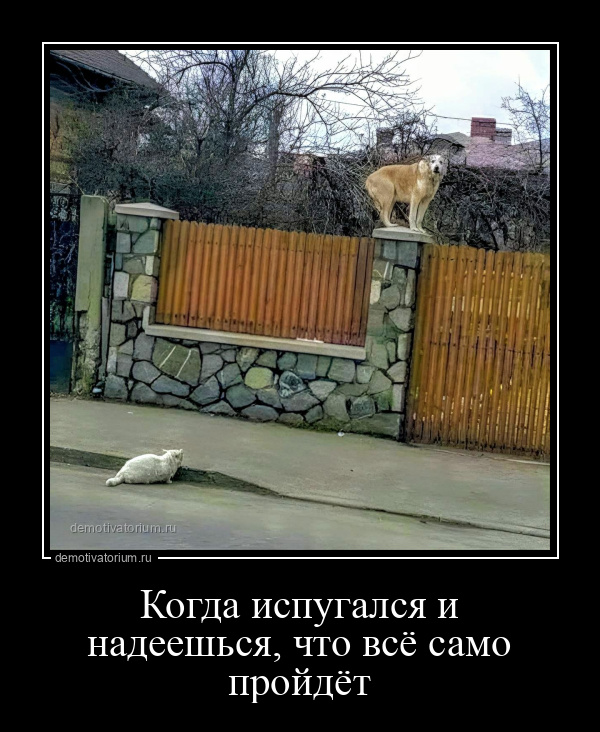 Когда испугался и надеешься, что всё само пройдёт