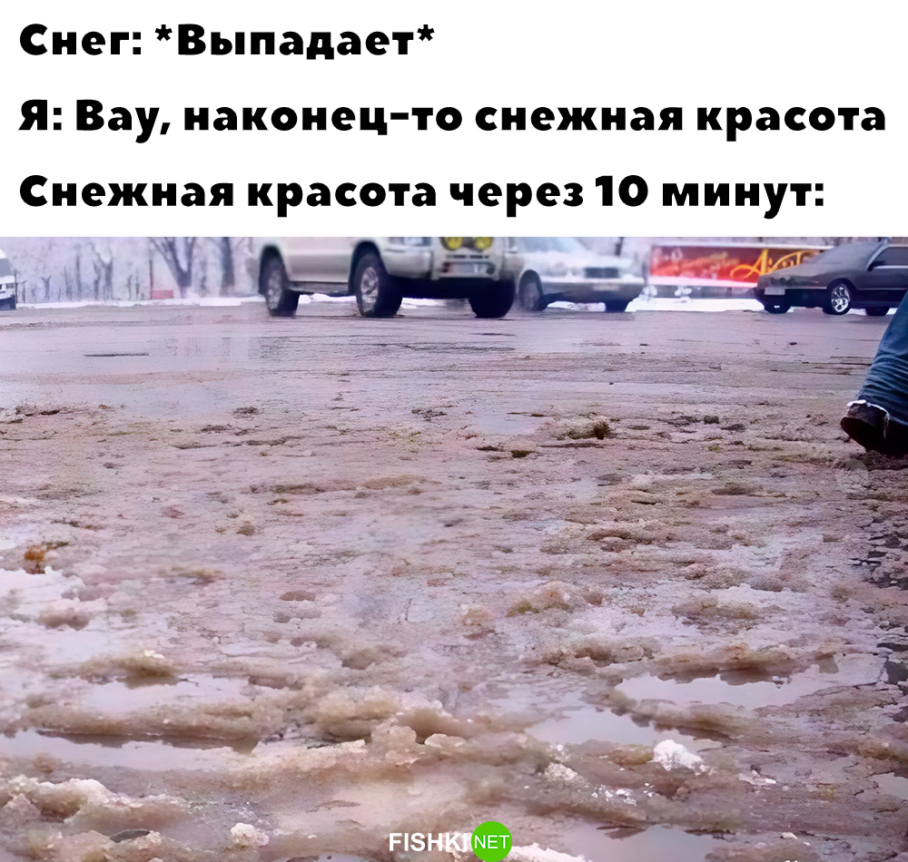 Скрины из соцсетей&nbsp;&nbsp;&nbsp;&nbsp;&nbsp;&nbsp;&nbsp;&nbsp;&nbsp;&nbsp;&nbsp;&nbsp; от АРОН за 11 ноября 2024