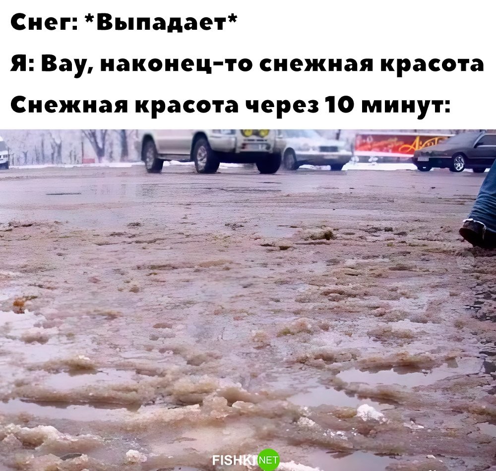 Скрины из соцсетей            