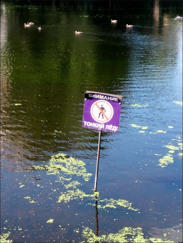 Отдельный жанр