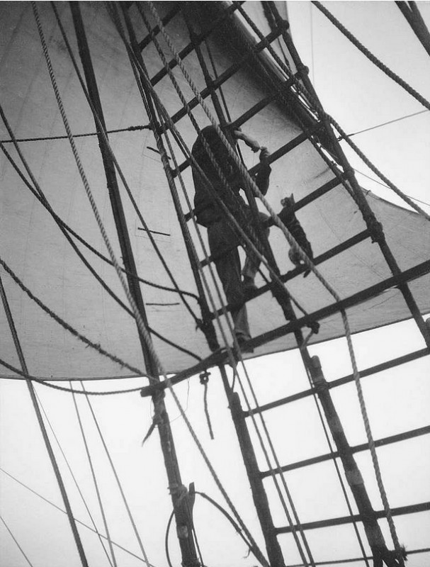 Моряк с питомцем на вантах судна ‘Pommern’, 1903