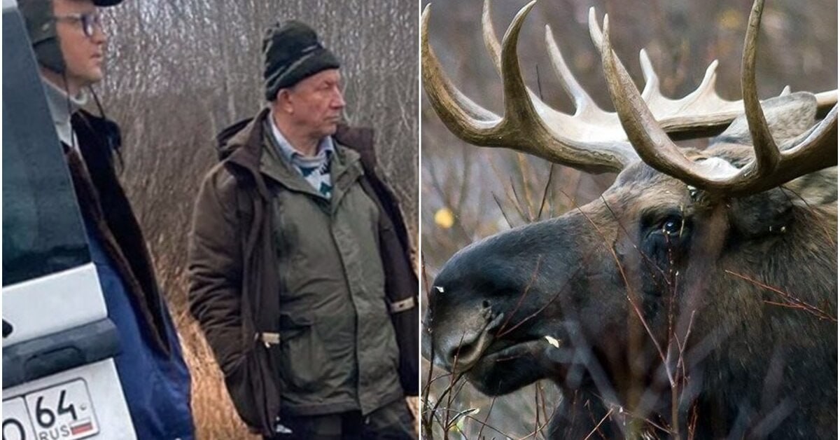 Месть доброй воли