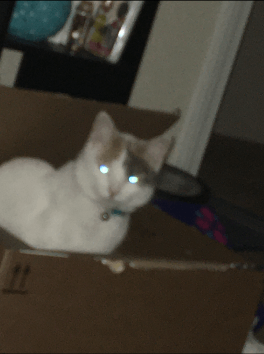 7. Сканирую обстановку