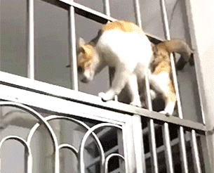 Просто гифки, всякие и&nbsp;разные