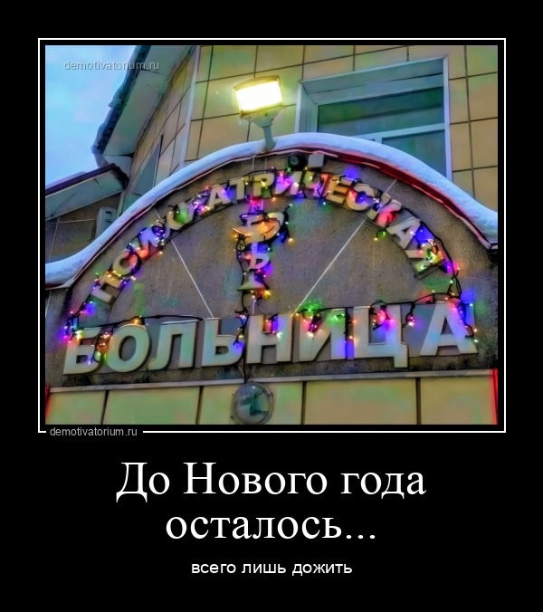 До Нового года осталось... всего лишь дожить