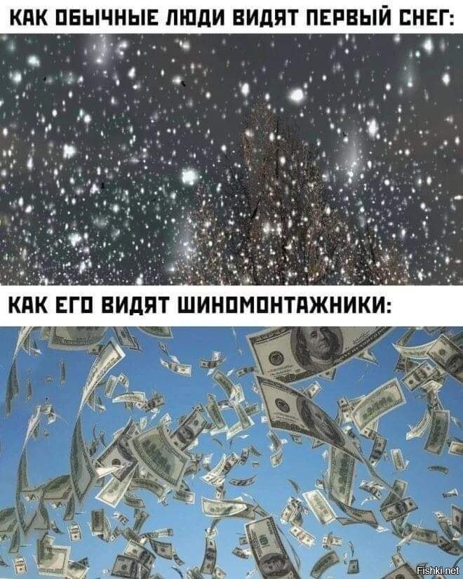 Посты с сайта zagony.ru