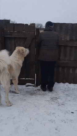 Просто гифки, всякие и&nbsp;разные