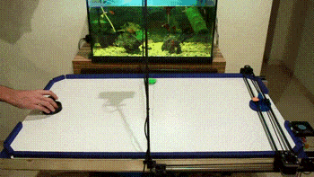 Смастерил себе соперника