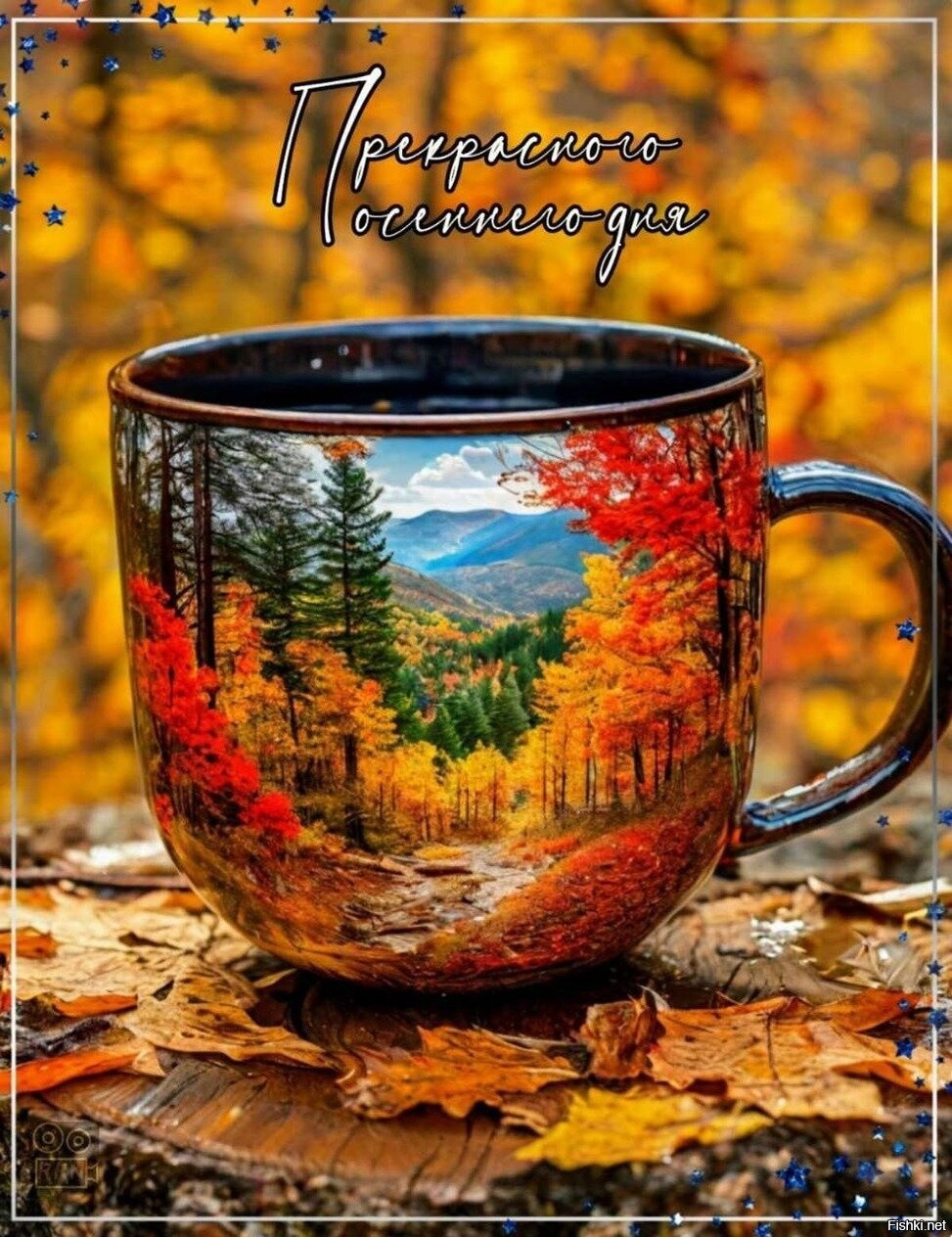 Фишкина солянка