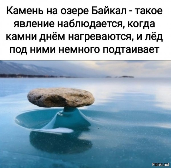 Фишкина солянка