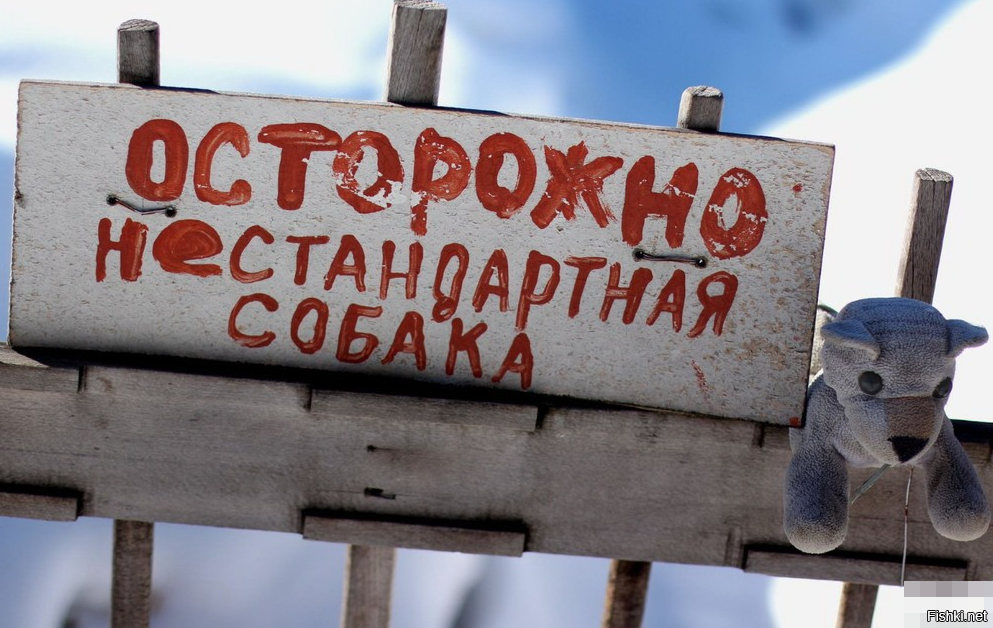 Фишкина солянка