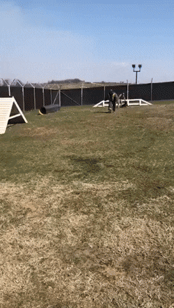 Просто гифки, всякие и&nbsp;разные