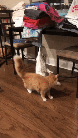 Просто гифки, всякие и&nbsp;разные