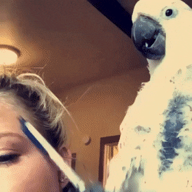 Просто гифки, всякие и&nbsp;разные