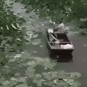 Просто гифки, всякие и&nbsp;разные