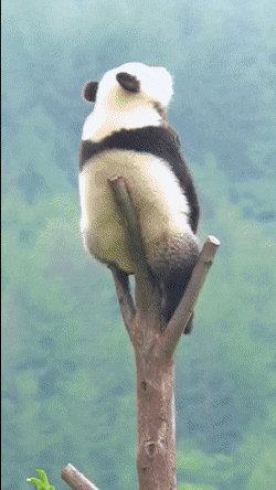 Просто гифки, всякие и&nbsp;разные