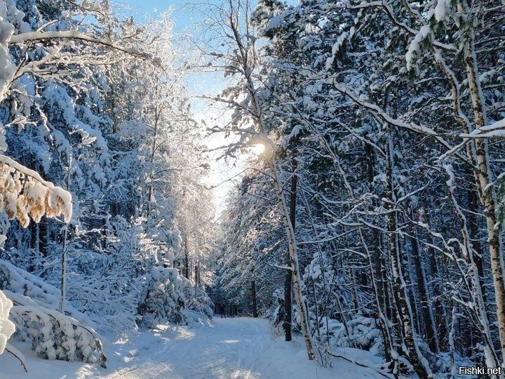 С добрым утром