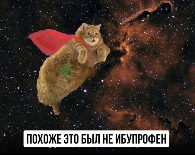 Скрины из соцсетей            
