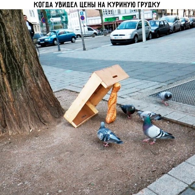 Скрины из соцсетей            