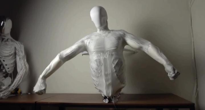 В Польше создают робота-дворецкого, тело которого максимально точно повторяет человеческое